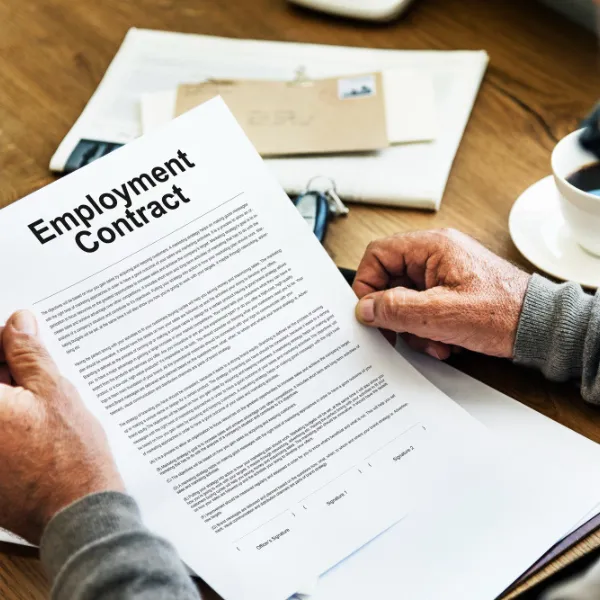 Articles Employment Warning Letter