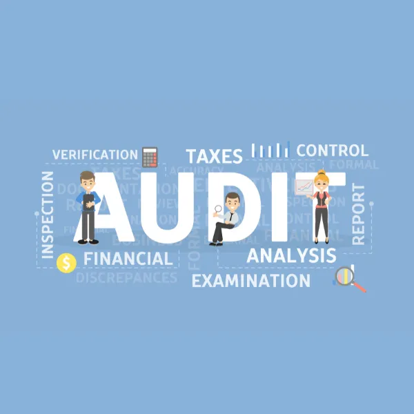 Legal Audit